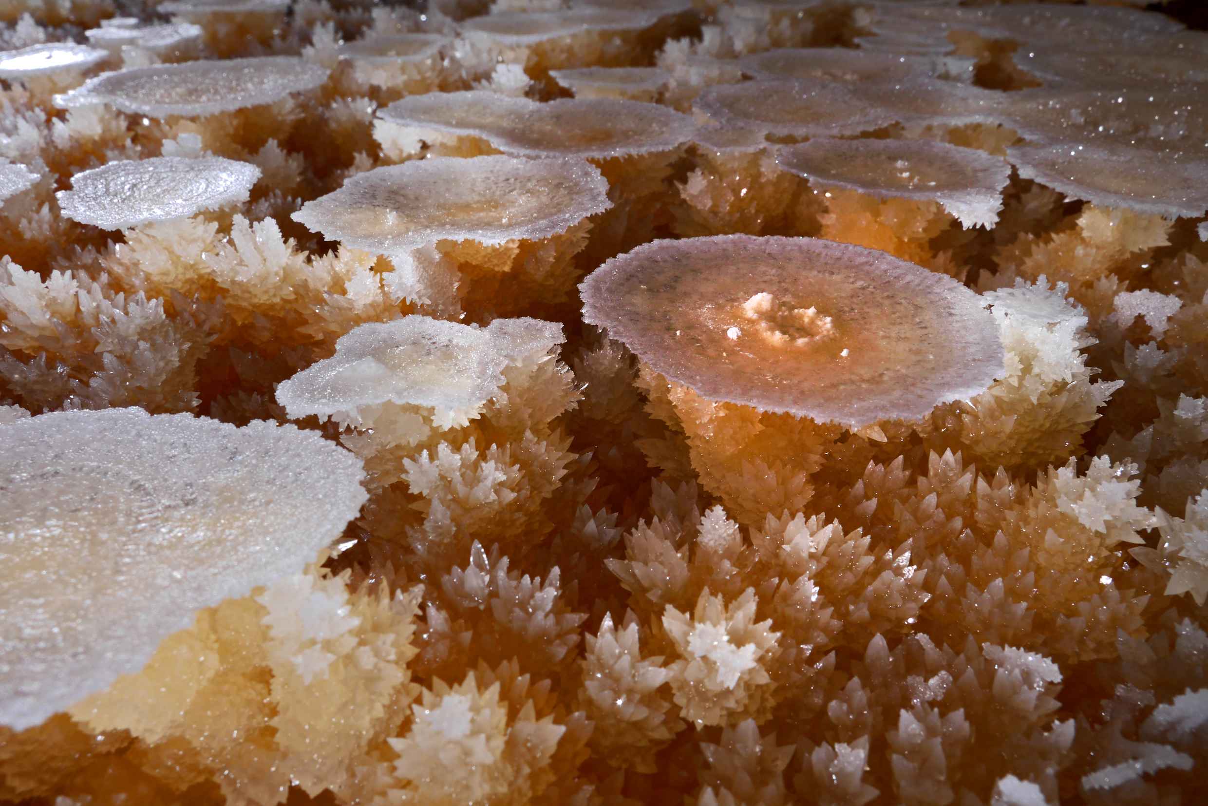 calcite flowers